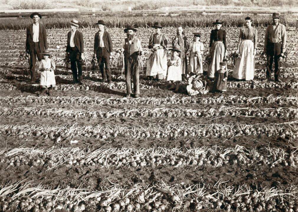 #1. Farmers and planters